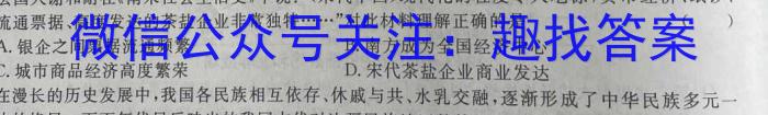 安徽省2022~2023学年度高二第二学期庐阳高级中学期末测试(232827Z)历史