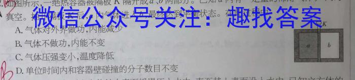 2023年河南大联考高三年级5月联考（5003C·HEN）物理`