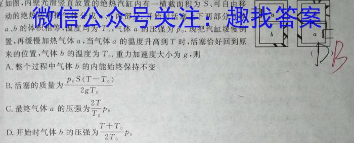 2023届全国百万联考老高考高三5月联考(6002C)物理.