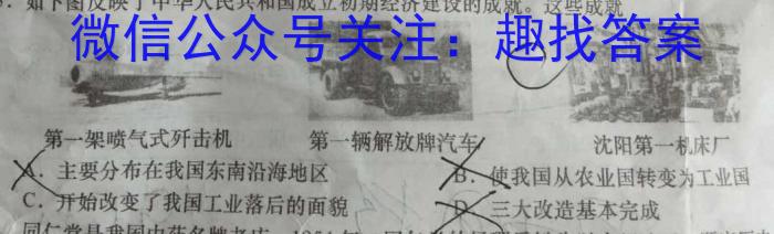 河南省濮阳市2022-2023学年八年级第二学期期末考试试卷历史