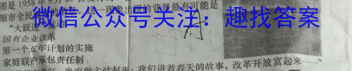 2023年陕西省初中学业水平考试全仿真卷(F)历史