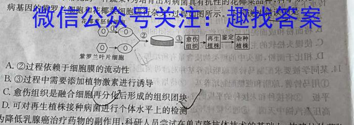 安徽师范大学附属中学2023-2024学年高二下学期第一次学情检测数学