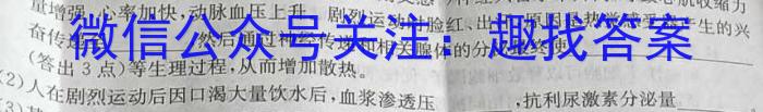 鼎尖教育2024届高三年级10月联考数学