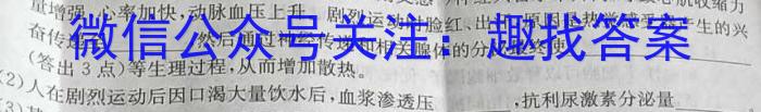 安徽省淮南市2022-2023学年度第二学期七年级期末质量检测数学