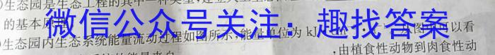 2024年山西省初中学业水平测试信息卷(二)2数学