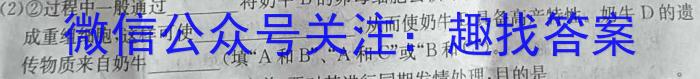 文博志鸿 2023年河北省初中毕业生升学文化课模拟考试(状元卷二)数学