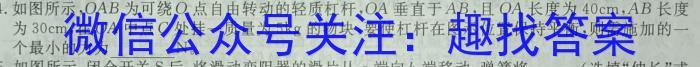 2023年岳阳县高三下学期新高考适应性测试.物理