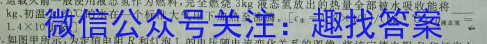 安徽省2022-2023学年度八年级下学期阶段评估（二）【7LR-AH】.物理