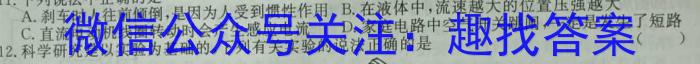 天一大联考·皖豫名校联盟2022-2023学年(下)高二年级阶段性测试(期末)物理`