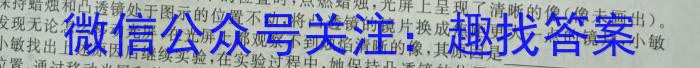 安徽省2023届九年级下学期教学评价三物理`