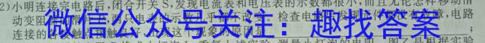 新疆2023年高考素养调研第三次模拟考试(问卷)l物理