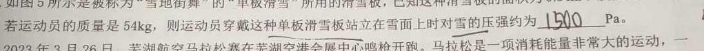 九师联盟2022—2023学年高二下学期6月摸底考试（L）-物理