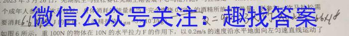 江西省2023年九年级第二次学习效果检测物理`