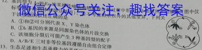 安徽省2023-2024学年八年级卷一（3.28）数学