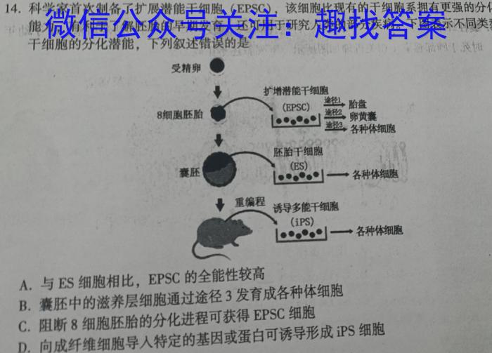 铜川市2023-2024学年度高三第一次质量检测卷（24430C）数学