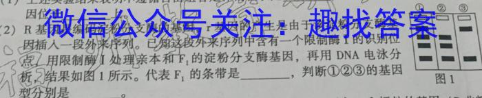 云南省2025届高三9.5日考试（YN）数学