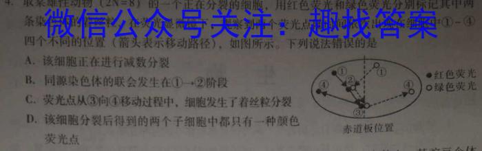 河南省方城县2024年中招模拟考试（一）数学