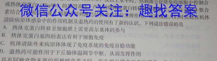 2023年安徽省中考信息押题卷(三)数学