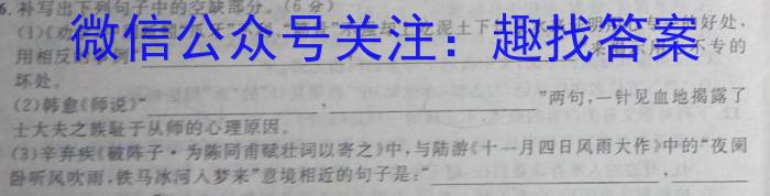 宿州市省、市示范高中2022-2023学年度高一第二学期期末考试语文