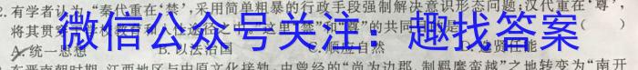 安徽省2022~2023学年度高二第二学期庐阳高级中学期末测试(232827Z)历史