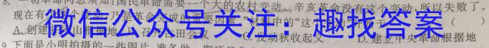 2023年河北省初中毕业升学仿真模拟考试（二）历史