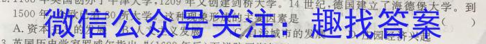 安徽第一卷·2023年中考安徽名校大联考试卷（四）历史