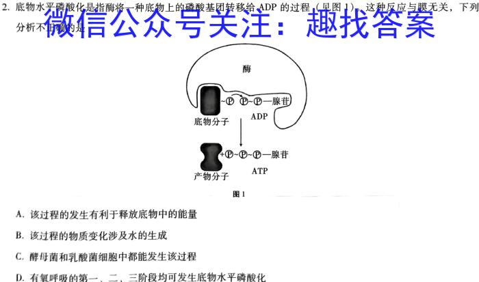 2024年陕西省初中学业水平考试（二）数学