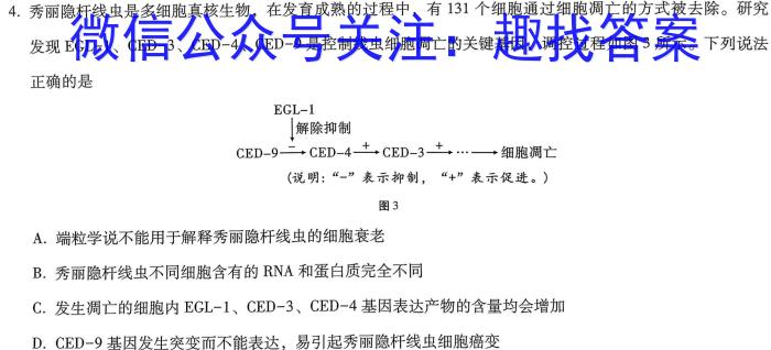 2024年全国高考冲刺预测卷(六)数学