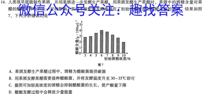 2023-2024学年高三试卷12月百万联考(灯泡)数学