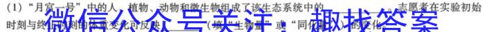 NT教育·2024-2025学年高二年级9月入学摸底考试数学