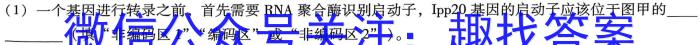 河南省2023-2024学年七年级下学期阶段性评价卷一数学