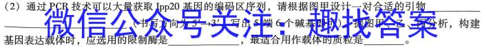 百师联盟河南省2022-2023第二学期高一期中考试生物