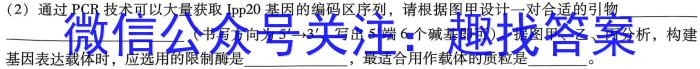 2023届全国百万联考高一6月联考(006A)生物