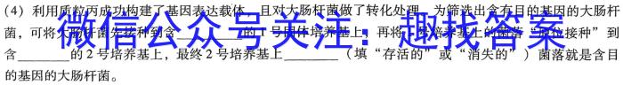 百师联盟河南省2022-2023第二学期高一期中考试数学
