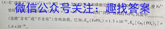 安徽省毫州市蒙城县2024-2023学年度七年级第二学期义务教育教学质量检测化学