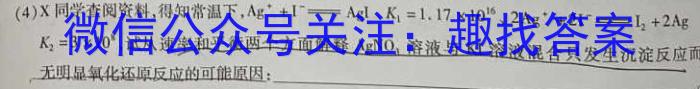 晋学堂2023年山西省中考备战卷·模拟与适应（5月）化学