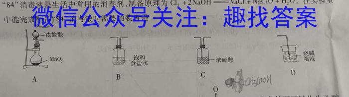 一步之遥 2023年河北省初中毕业生升学文化课考试模拟考试(十二)化学