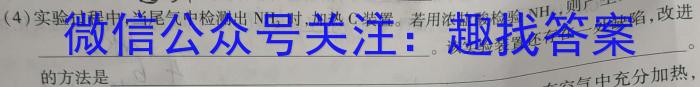 江淮名卷·2023年省城名校中考调研(最后一卷)化学