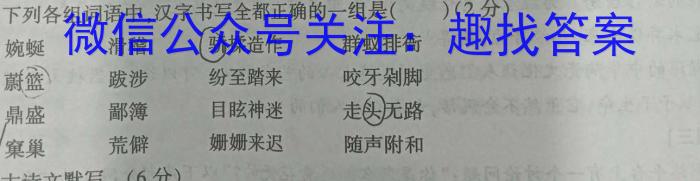 咸宁市2022-2023学年度下学期高二年级高中期末考试语文