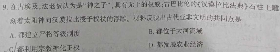 合肥工大附中2023届高三最后一卷历史