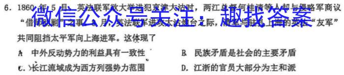 安徽省2022-2023学年度高二年级下学期期末学情检测(23101B)历史试卷