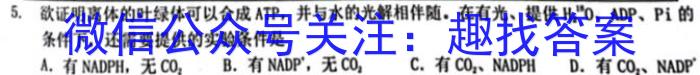 2023年龙泉中学高考高三年级下学期模拟考试数学