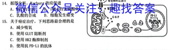 2024届衡水金卷先享题 调研卷(江西专版)(二)2数学