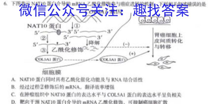 2023年陕西省初中学业水平考试全真模拟押题卷(三)3生物