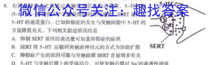 黑龙江省大庆市2024-2025学年初三年级开学验收考试数学