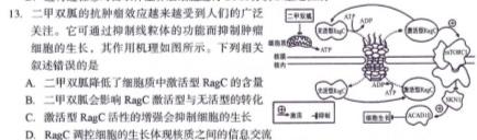 湖北省恩施州高中教育联盟2023年春季学期高二年级期末考试(23-574B)数学考试