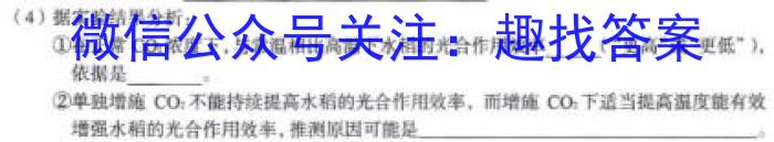 衡水金卷先享题摸底卷 2024-2025学年度高三一轮复习摸底测试卷(一)1数学