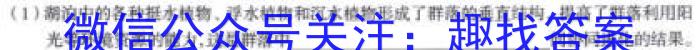 ［河北大联考］河北省2025届高三年级上学期8月联考数学