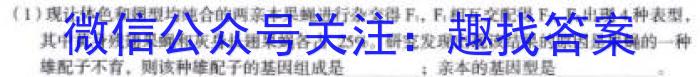 怀化市2023年上期高二年级期末考试试题数学