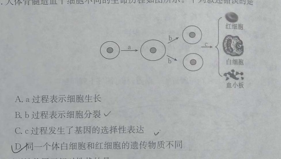 怀仁一中2022-2023学年下学期高一期末考试(23731A)生物